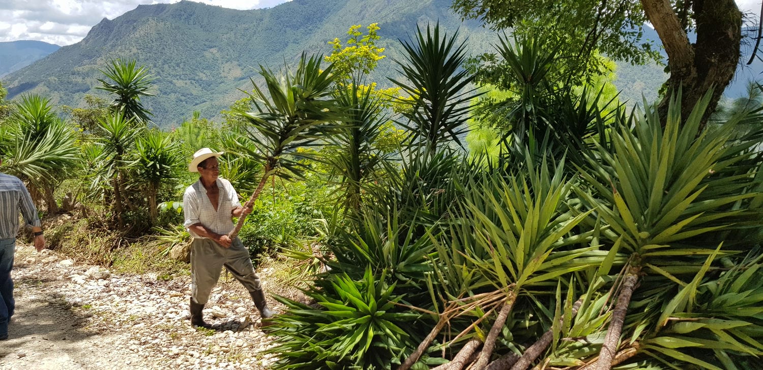 Een bezoek aan Costa Rica en Guatemala