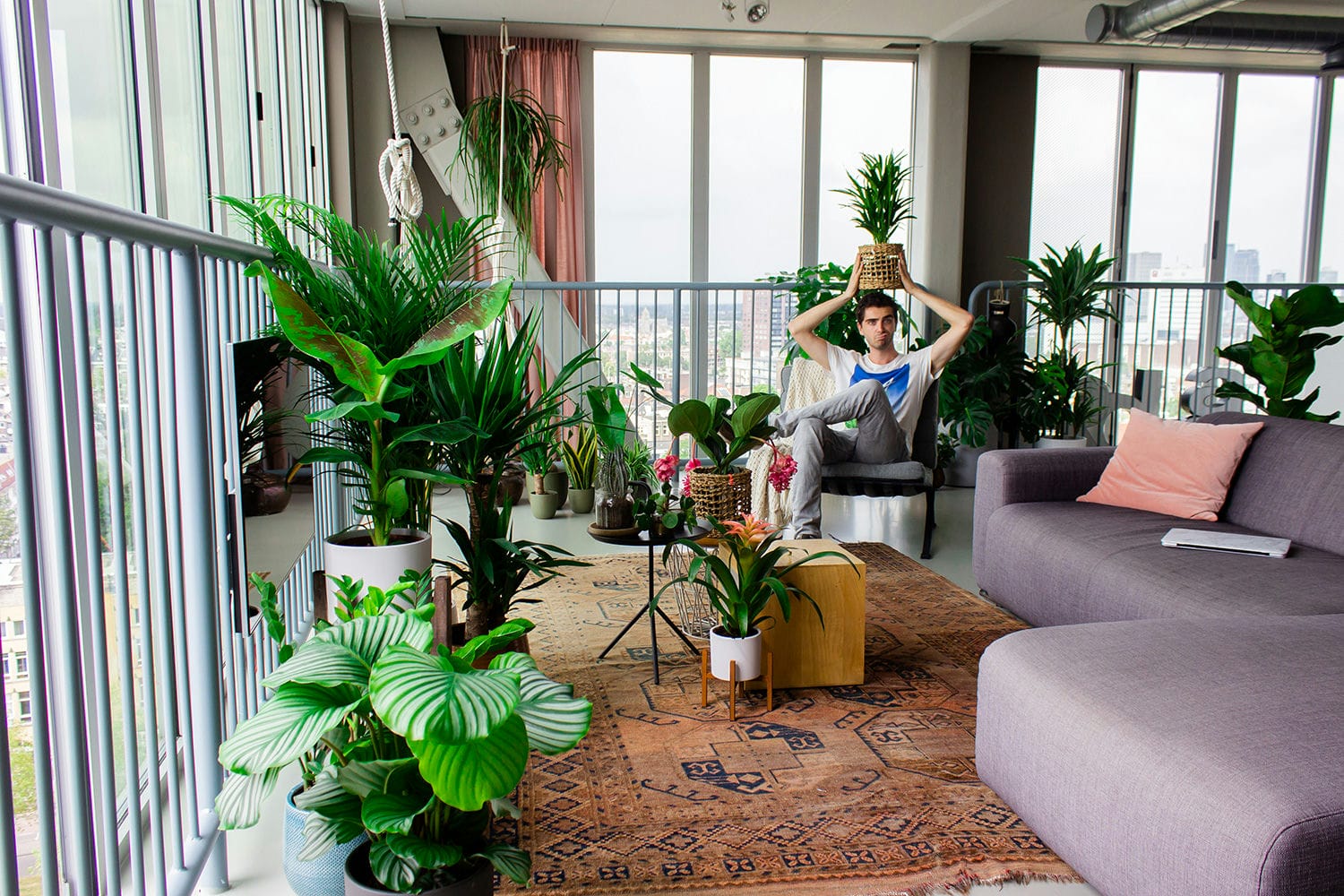 Forever Plants & Plantsome: Van stekje tot woonkamer