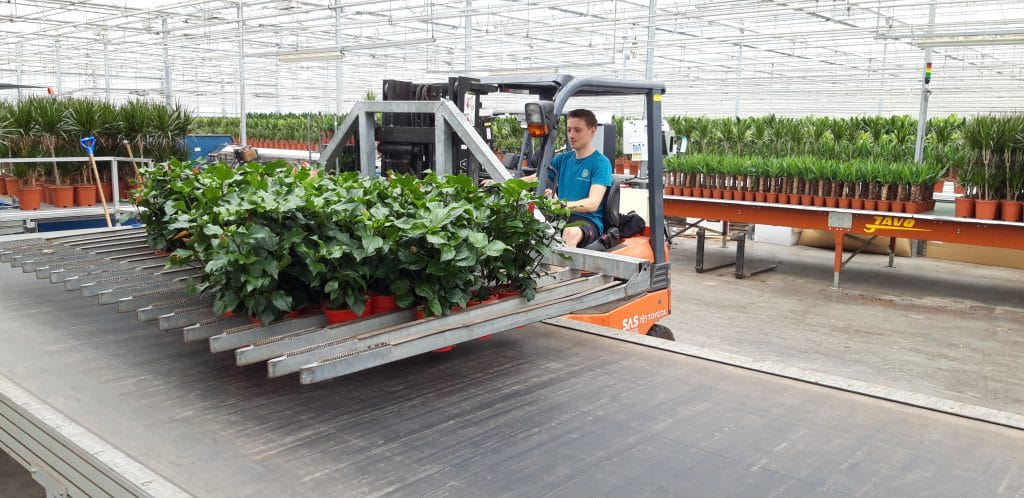 All-round production employee s Gravenzande